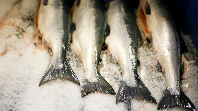 Salmon_Reuters_Mar 1 2013.jpg